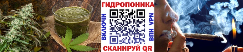 shop телеграм  Междуреченск  ссылка на мегу ТОР  Печенье с ТГК конопля  где найти  