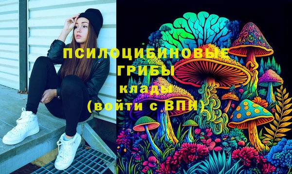 а пвп мука Алзамай