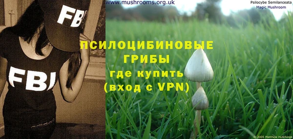 крисы Алексин