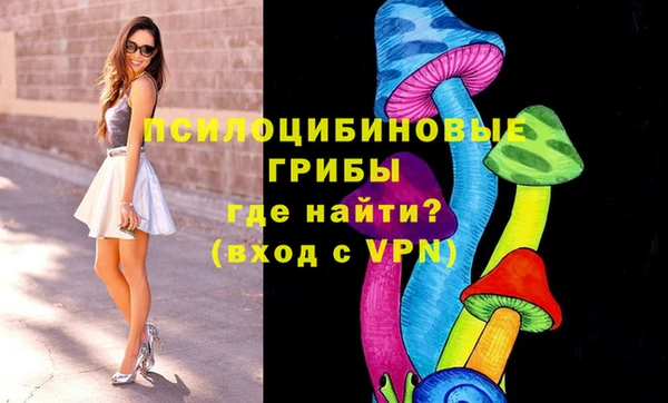 крисы Алексин