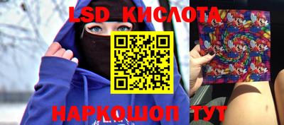 шишки Кингисепп