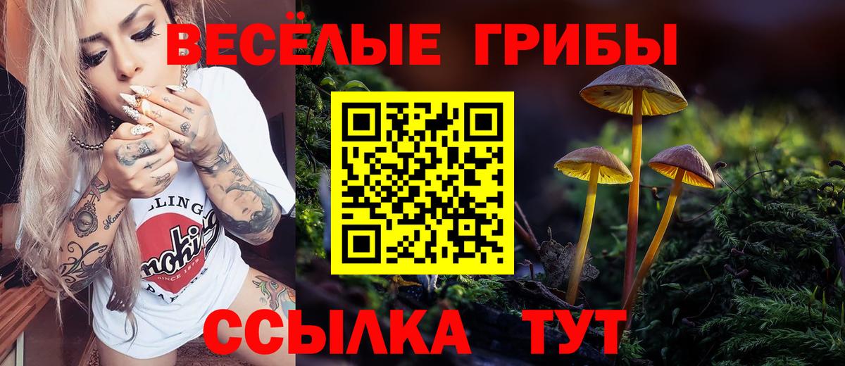 Псилоцибиновые грибы Psilocybine cubensis Междуреченск
